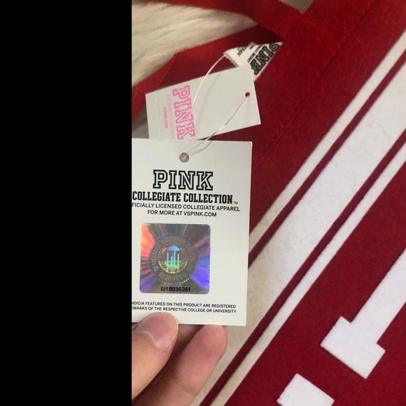 NWT Rare Victoria Secret PINK Badgers Pennant Flag - Picture 3 of 5